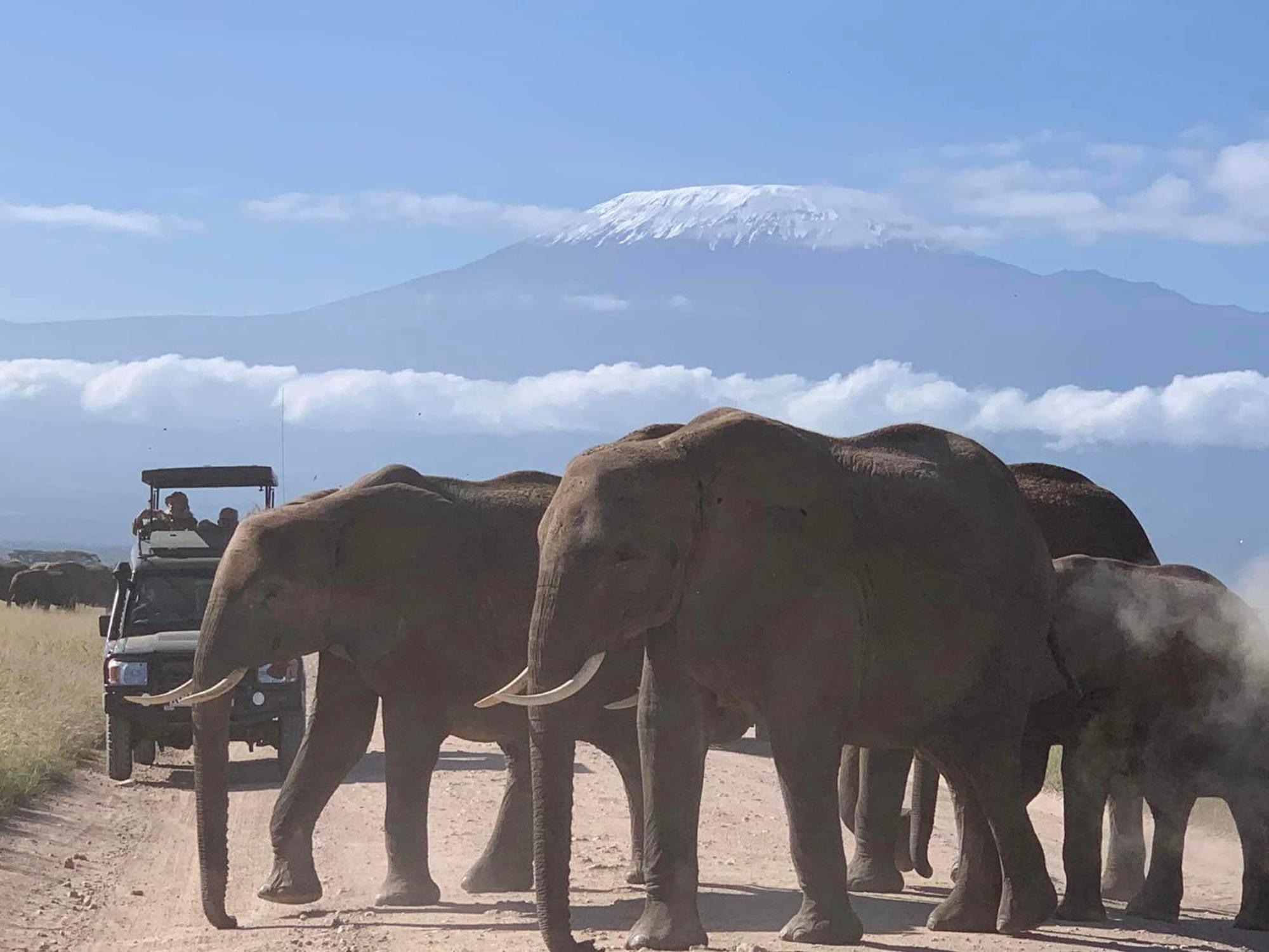 Amboseli Discovery Camp Exteriör bild