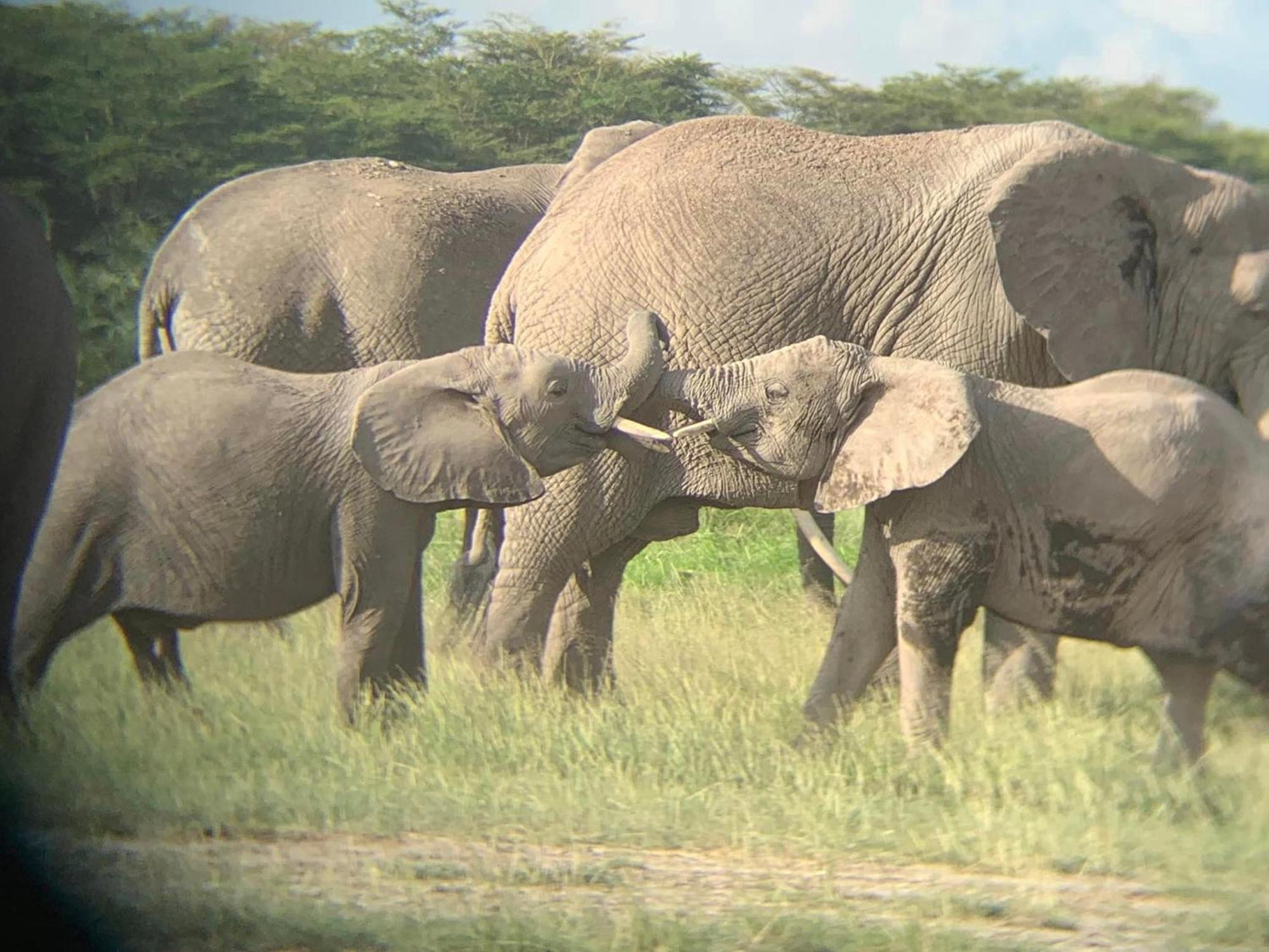 Amboseli Discovery Camp Exteriör bild