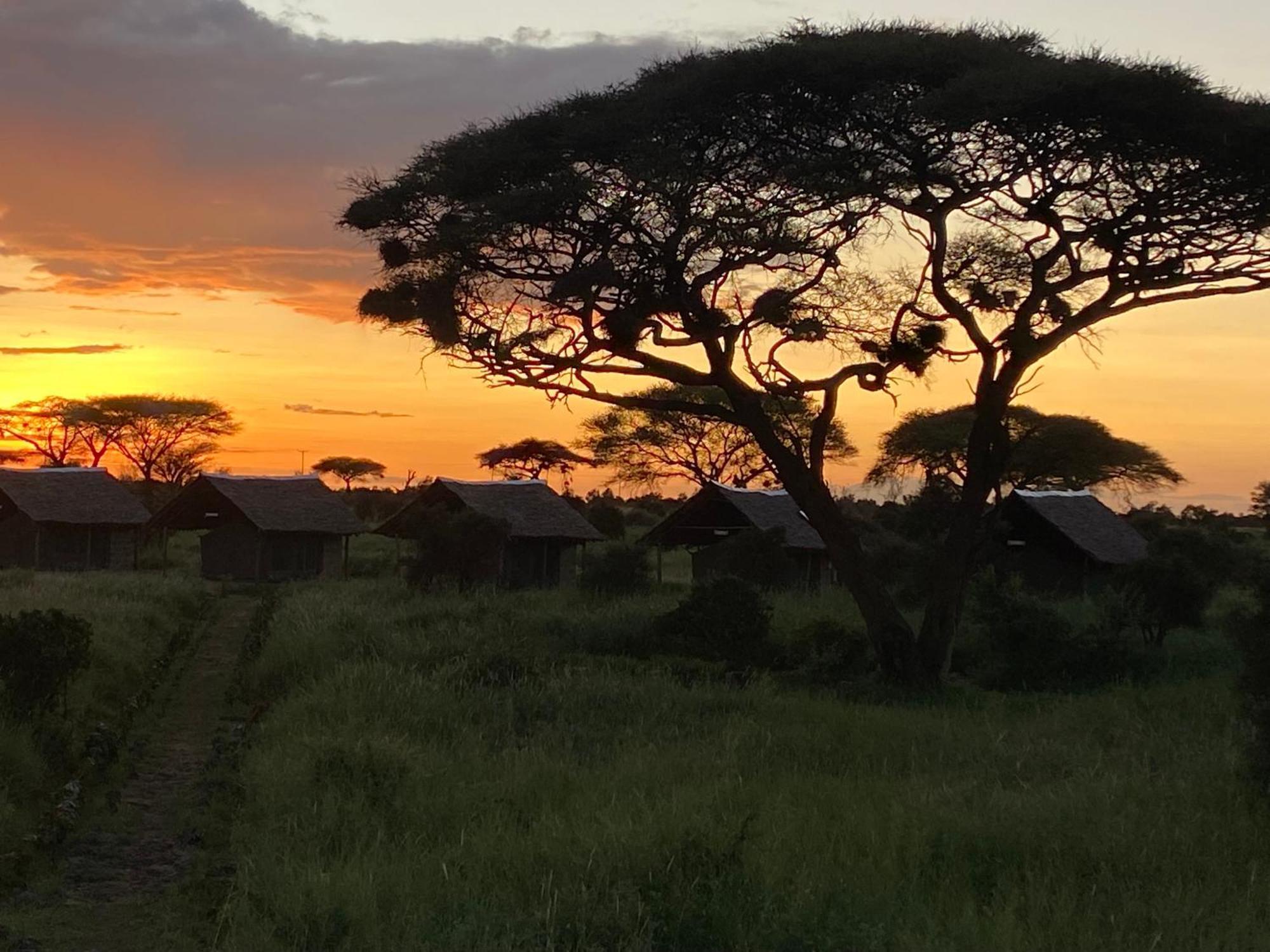 Amboseli Discovery Camp Exteriör bild