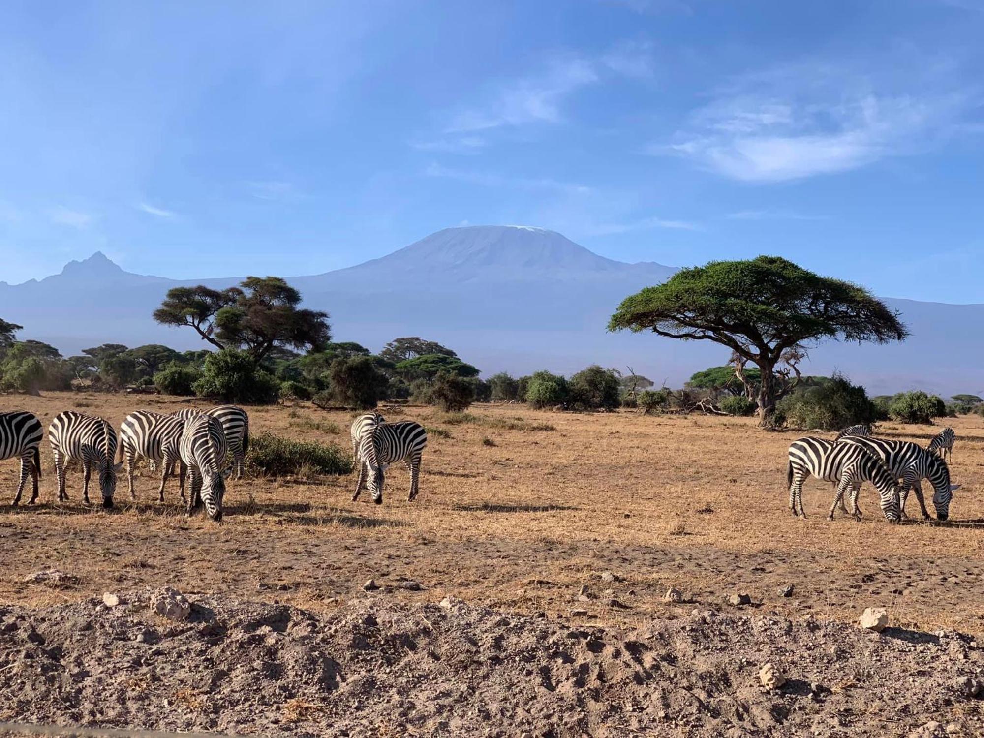 Amboseli Discovery Camp Exteriör bild