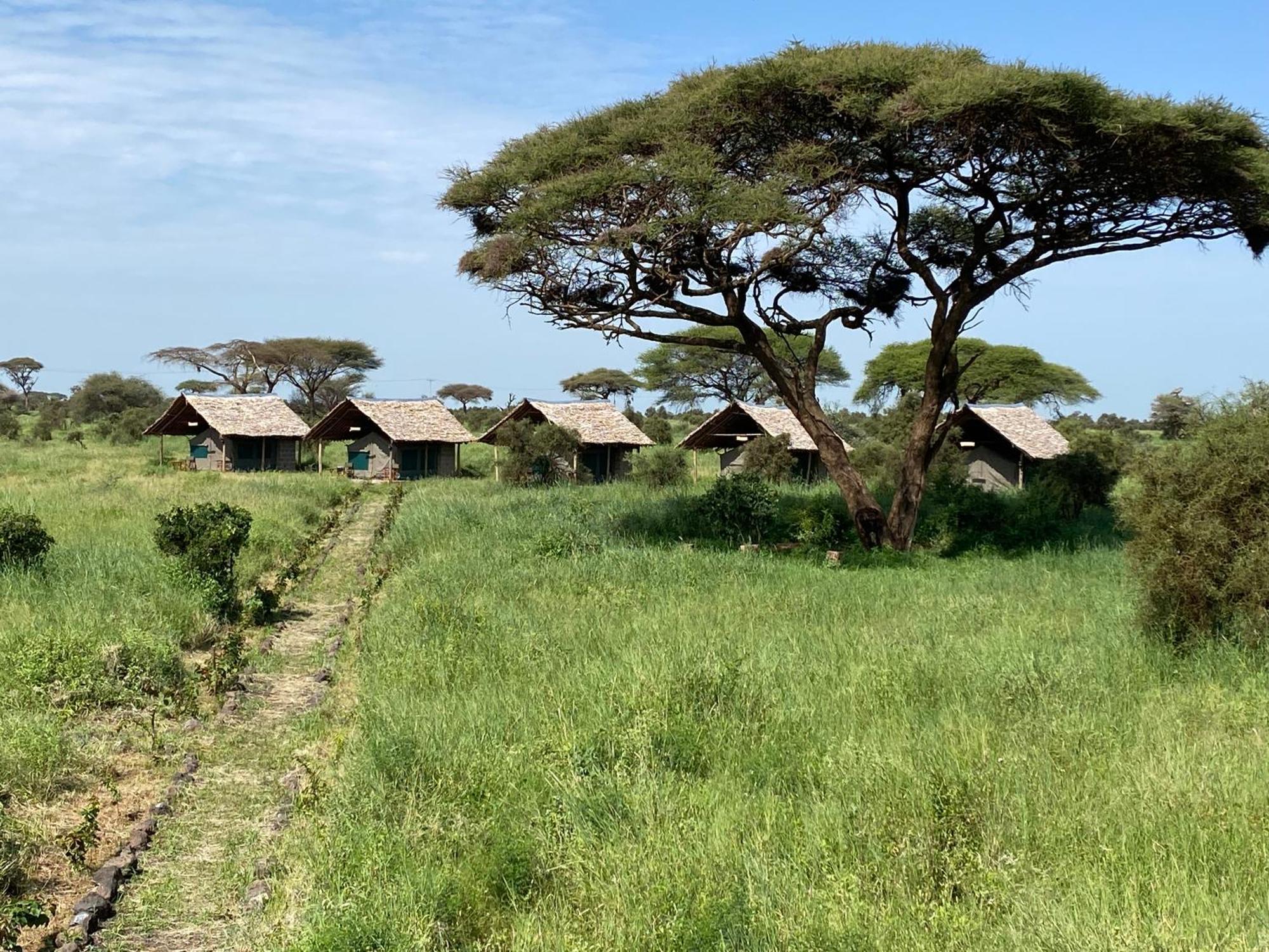 Amboseli Discovery Camp Exteriör bild