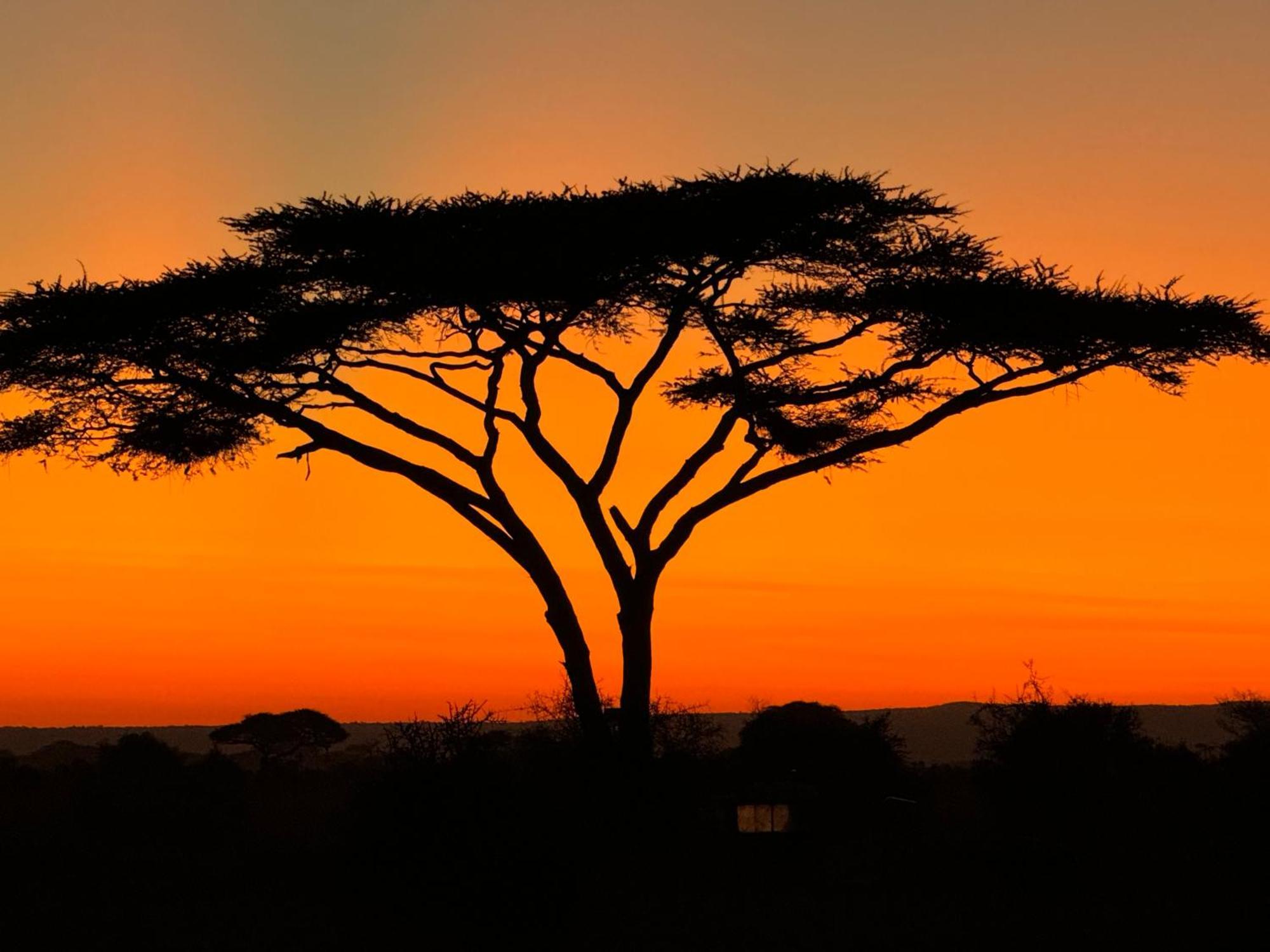 Amboseli Discovery Camp Exteriör bild