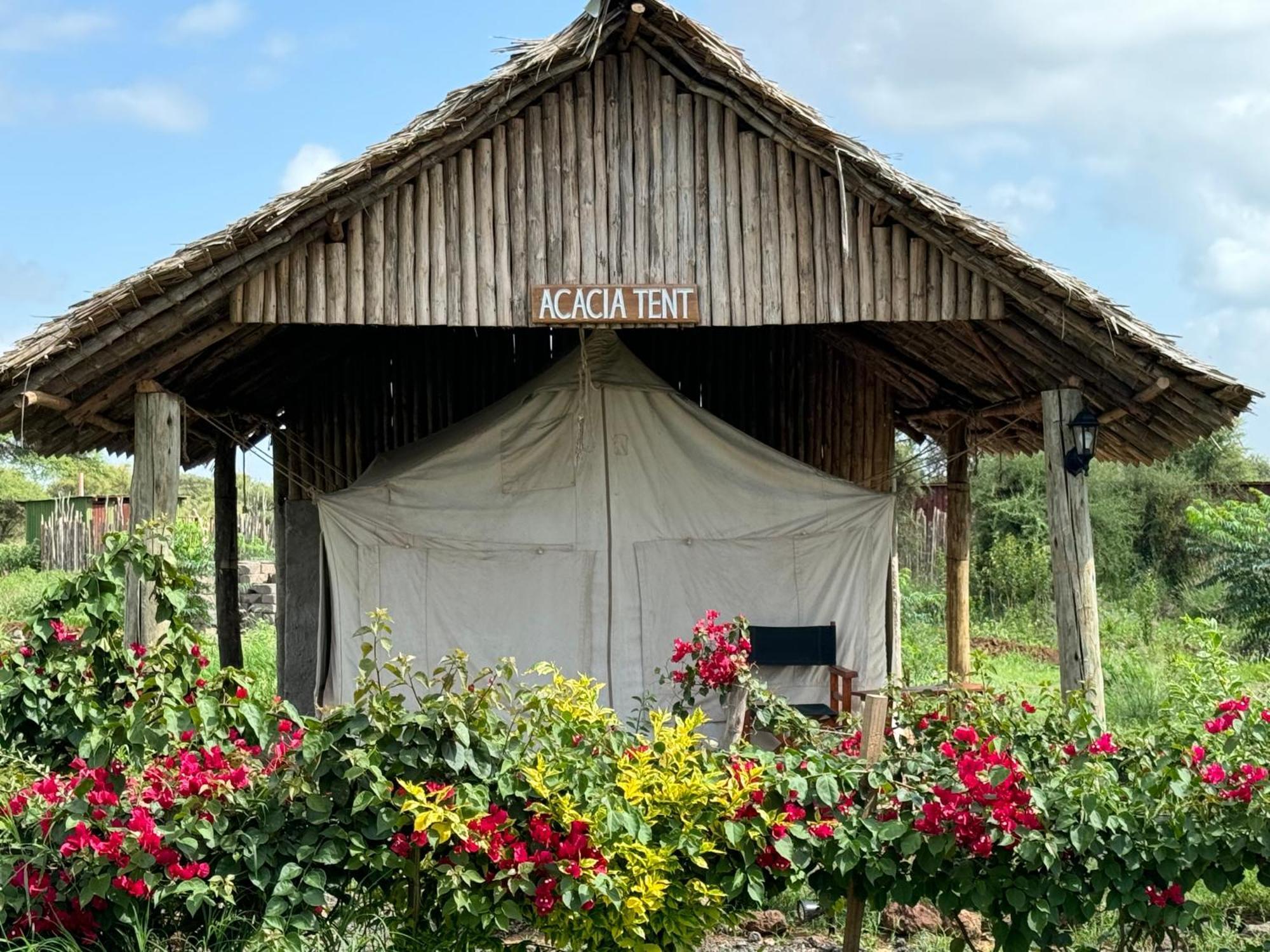 Amboseli Discovery Camp Exteriör bild